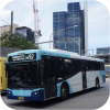 TfNSW liveried buses